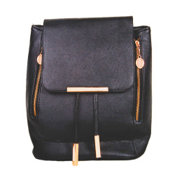 HydroLux Shower Head